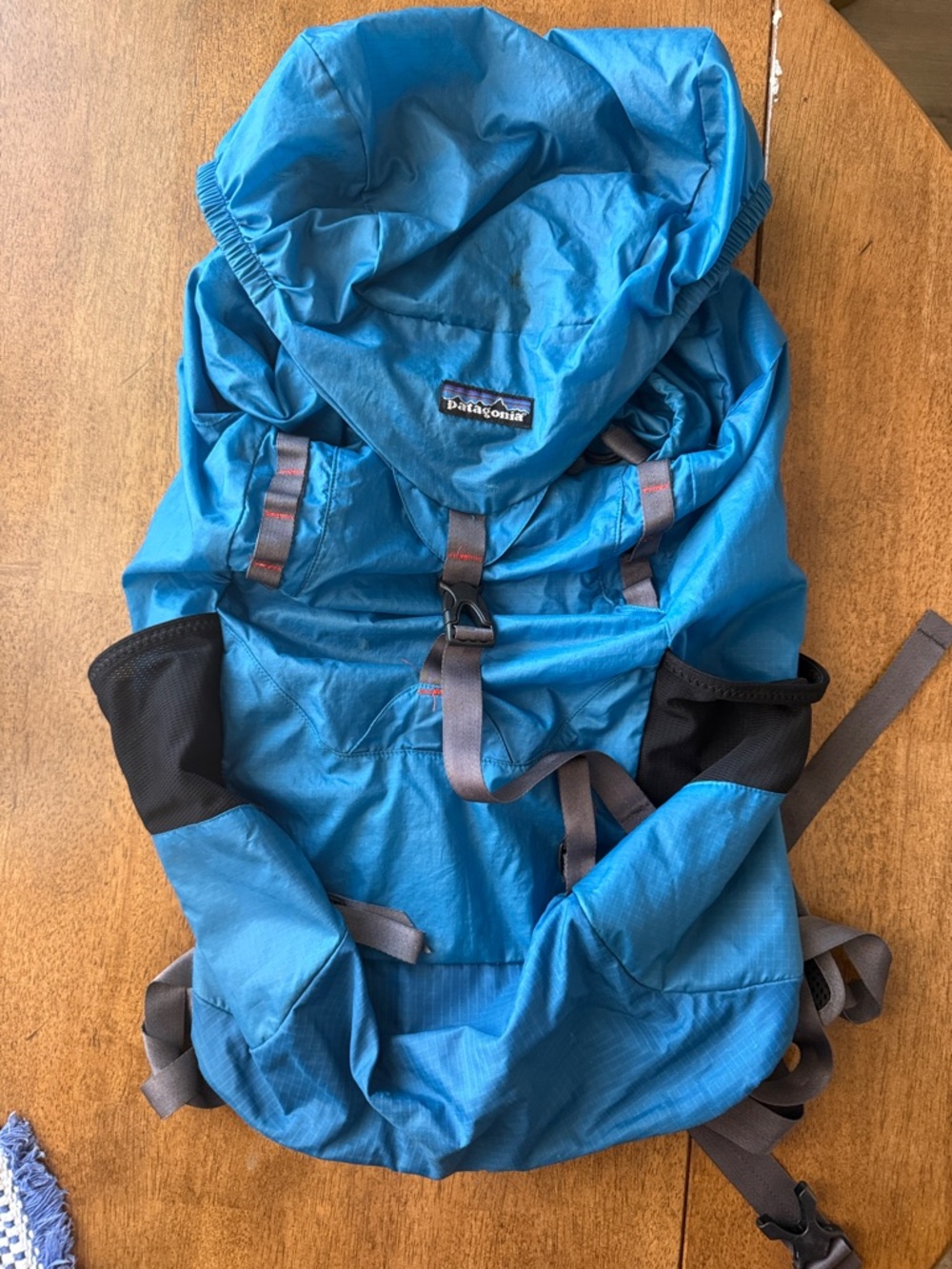 Patagonia Blue Lightweight Compact/Compressible Daypack Backpack